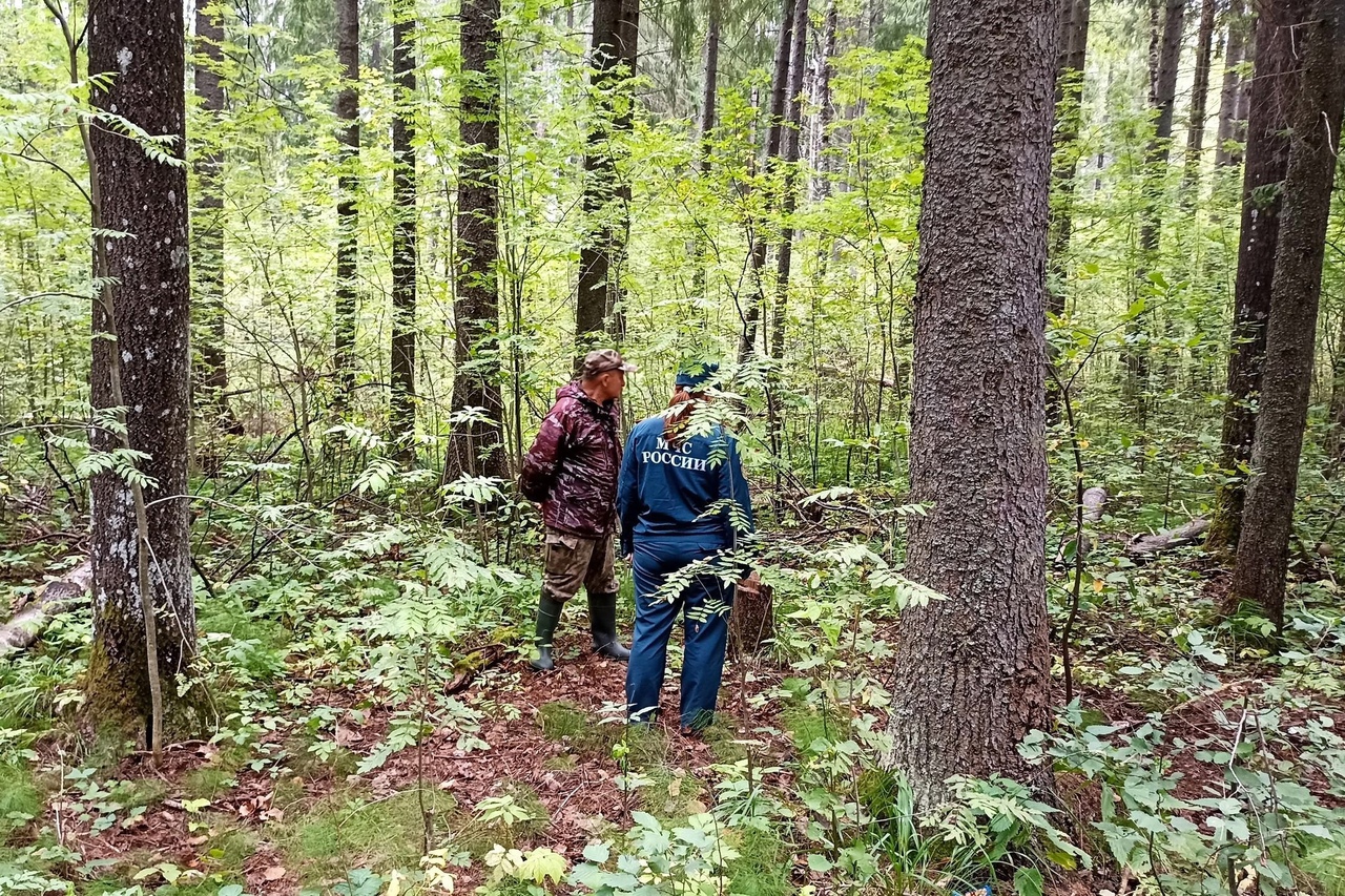 В Грязовецком округе установлен 4 класс пожарной опасности.