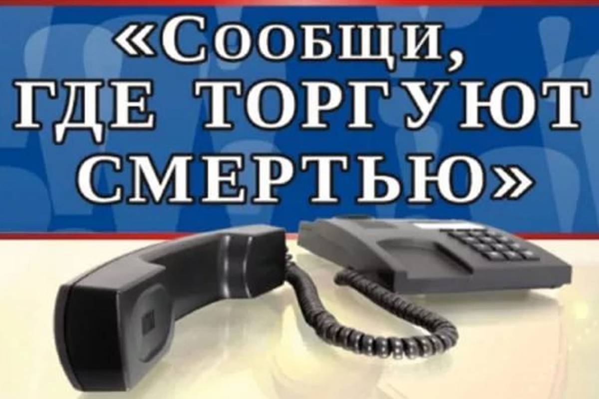 В Вологодской области стартует ежегодная Общероссийская антинаркотическая акция «Сообщи, где торгуют смертью!».