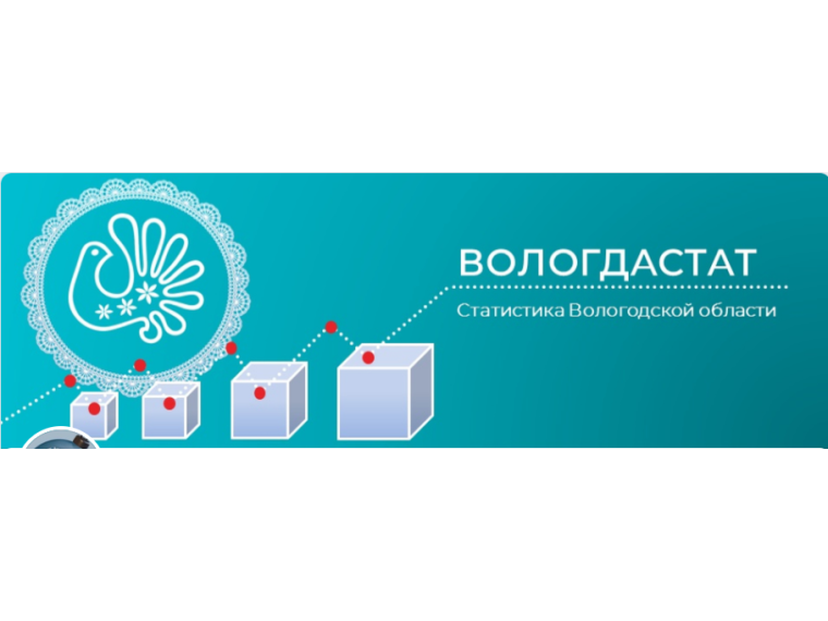 О проведении Выборочного обследования рабочей силы на территории Вологодской области в 2024 году.