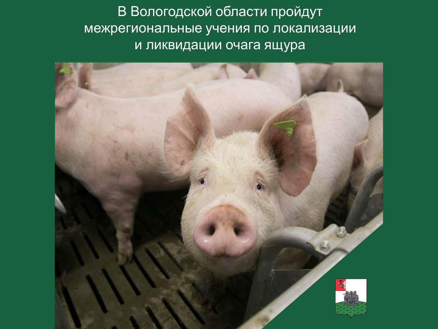 В Вологодской области пройдут межрегиональные учения по локализации и ликвидации очага ящура.