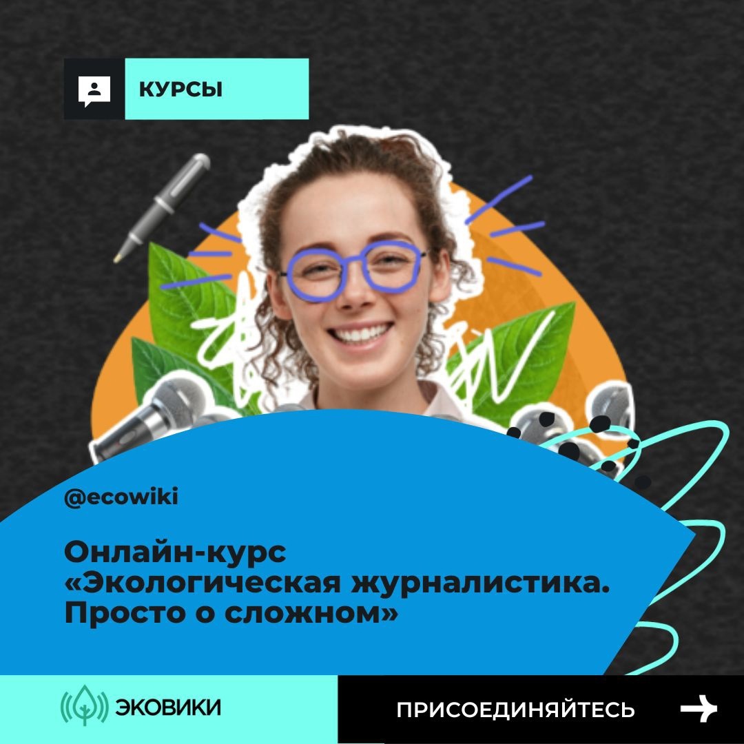 В Вологде стартовал обучающий курс для всех, кто хочет писать об экологии.