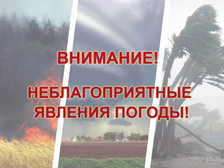 На реках северных, северо-западных и восточных округов области отмечается увеличение водности.