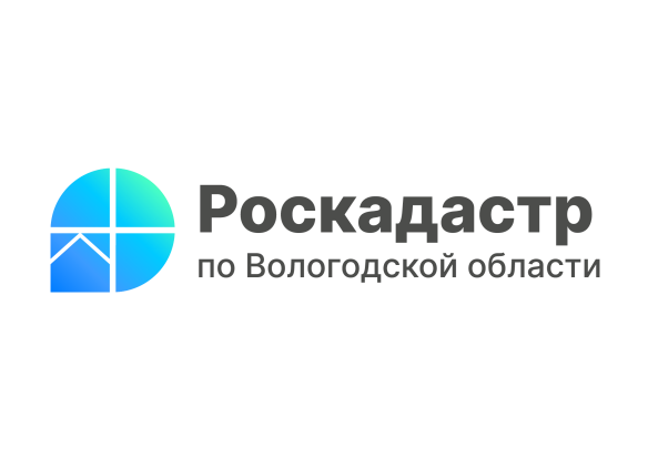 В Роскадастре по Вологодской области рассказали о полномочиях компании.