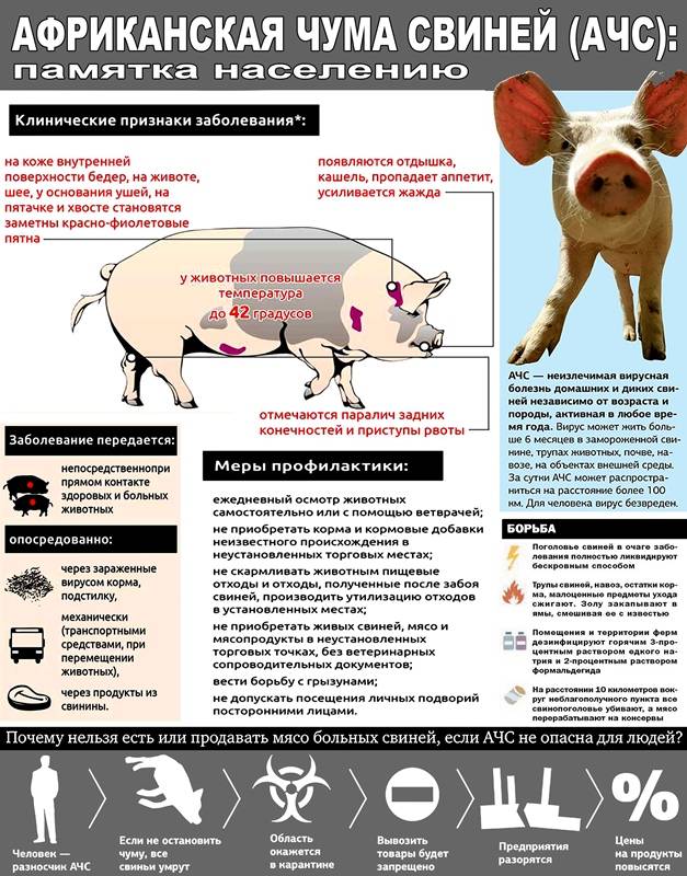 Минсельхоз России принял решение о проведении месячника «Дикий кабан».