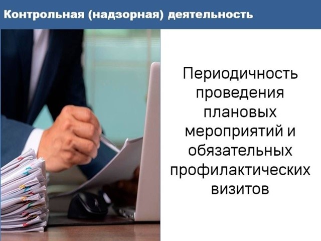 О периодичности проведения плановых контрольных (надзорных) мероприятий и обязательных профилактических визитов.