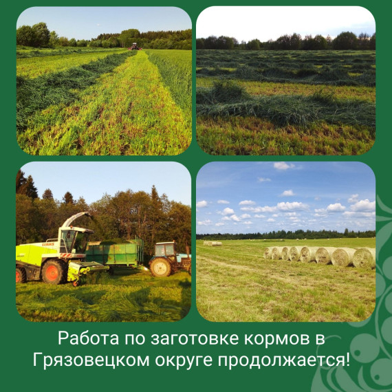 Кормозаготовка в Грязовецком округе идёт полным ходом!. Кормозаготовка в Грязовецком округе идёт полным ходом!.