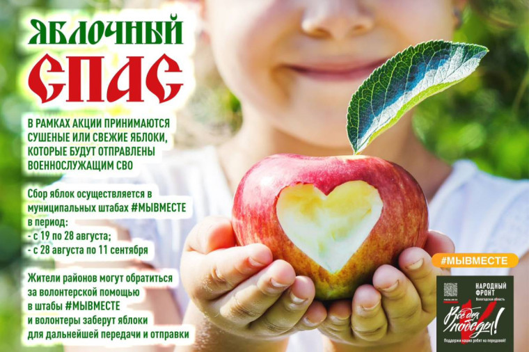 Вологжане могут принять участие в акции «Яблочный спас» и поделиться урожаем для отправки бойцам СВО. Вологжане могут принять участие в акции «Яблочный спас» и поделиться урожаем для отправки бойцам СВО.