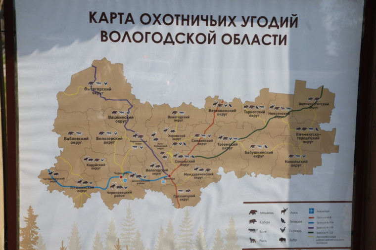 Увидеть соколиную охоту и отведать блюда из охотничьих трофеев: Фестиваль «Русская охота» вновь стартовал на Вологодчине. Увидеть соколиную охоту и отведать блюда из охотничьих трофеев: Фестиваль «Русская охота» вновь стартовал на Вологодчине.