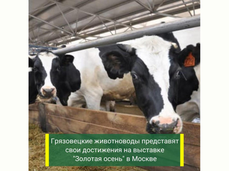 Племенные хозяйства области представят свои достижения на выставке «Золотая осень» в Москве. Племенные хозяйства области представят свои достижения на выставке «Золотая осень» в Москве.