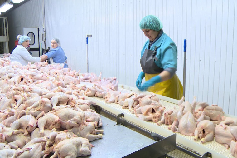В Вологодской области усилят контроль за оборотом продукции животного происхождения. В Вологодской области усилят контроль за оборотом продукции животного происхождения.