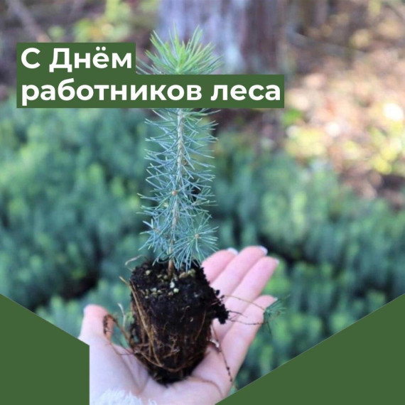 Поздравляем тружеников и ветеранов лесного хозяйства с Днём работников леса и лесоперерабатывающей промышленности!. Поздравляем тружеников и ветеранов лесного хозяйства с Днём работников леса и лесоперерабатывающей промышленности!.