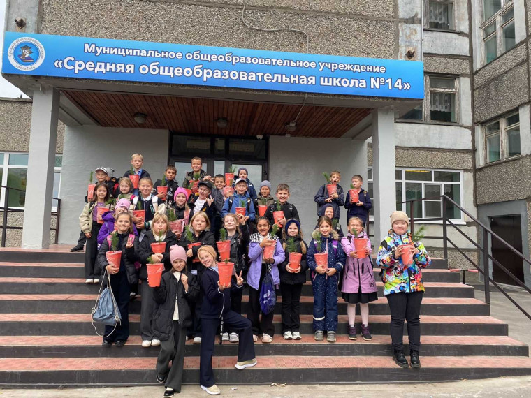 Школьники учатся озеленять школы. Школьники учатся озеленять школы.