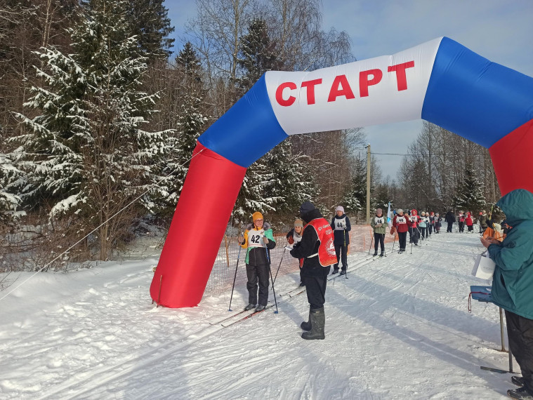 Соревнования по лыжным гонкам прошли сразу в рамках двух спартакиад Грязовецкого округа. Соревнования по лыжным гонкам прошли сразу в рамках двух спартакиад Грязовецкого округа.