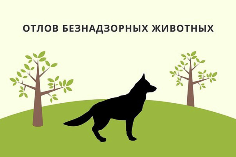 Конкурс состоялся, подрядчик определен!. Конкурс состоялся, подрядчик определен!.