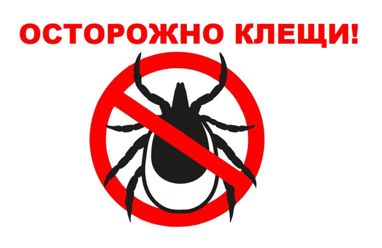 ЦУР Вологодской области информирует, что в этом году от укусов клещей уже пострадали 7 жителей области в Вологде, Бабаевском, Белозерском, Нюксенском, Сокольском и Усть-Кубинском округах. Четверо из них – дети.. ЦУР Вологодской области информирует, что в этом году от укусов клещей уже пострадали 7 жителей области в Вологде, Бабаевском, Белозерском, Нюксенском, Сокольском и Усть-Кубинском округах. Четверо из них – дети..